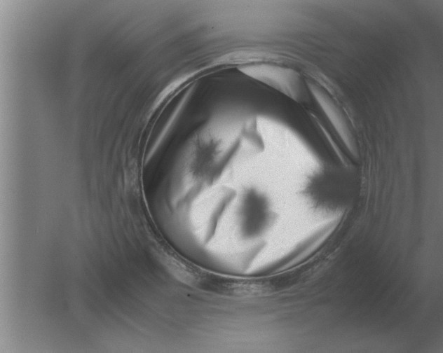 X0000080111465200612301931