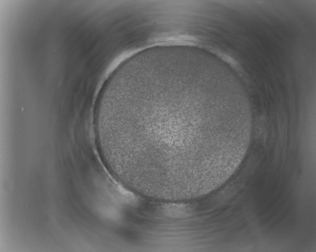 X0000080111470200612301931