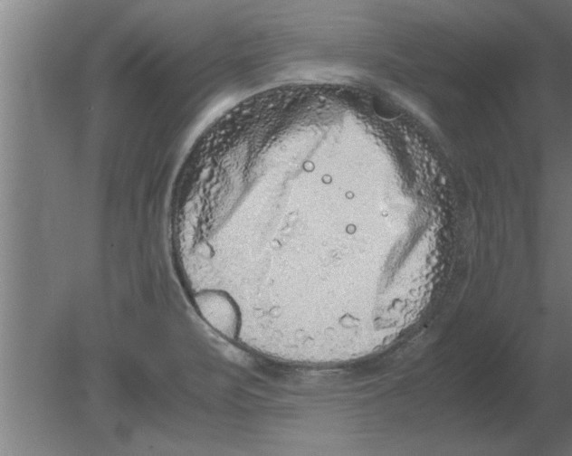 X0000080111471200612301931