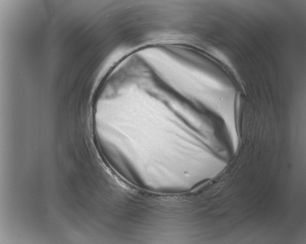 X0000080111472200612301931