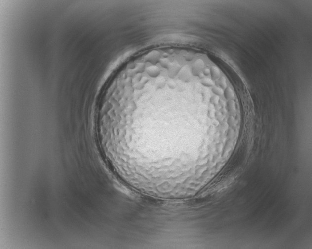 X0000080111477200612301931