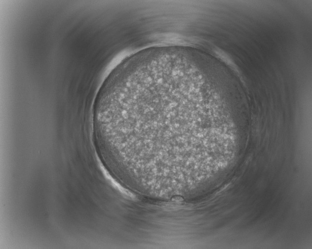 X0000080111479200612301931