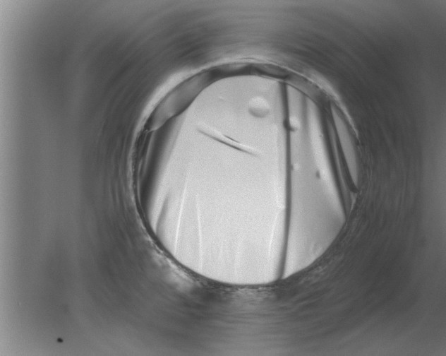 X0000080111480200612301931