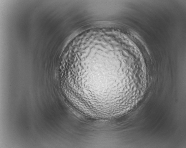 X0000080111481200612301931