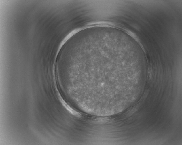 X0000080111482200612301931