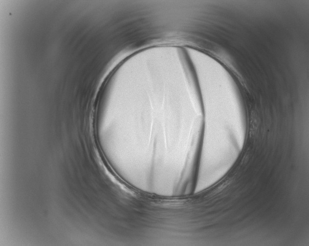 X0000080111484200612301931