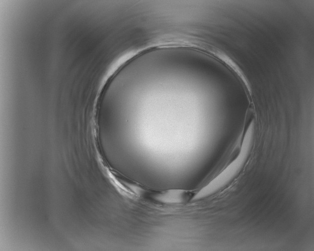 X0000080111485200612301931