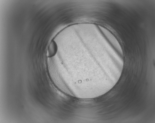 X0000080111486200612301931