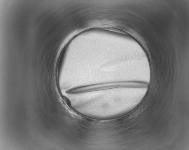 X0000080111488200612301931