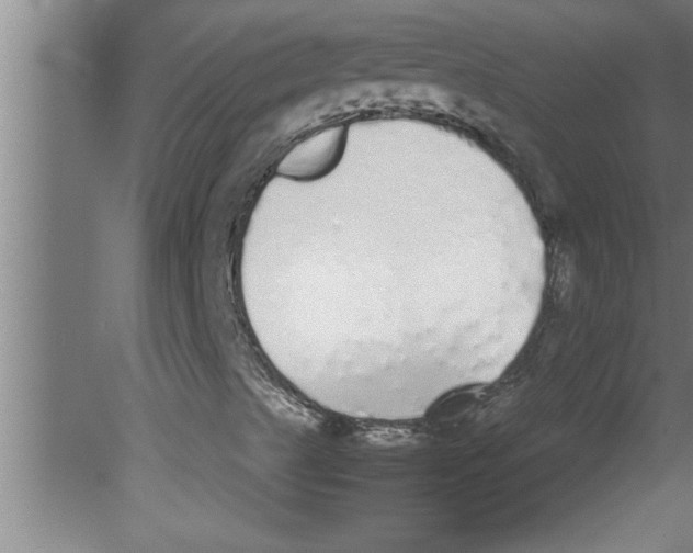 X0000080111489200612301930