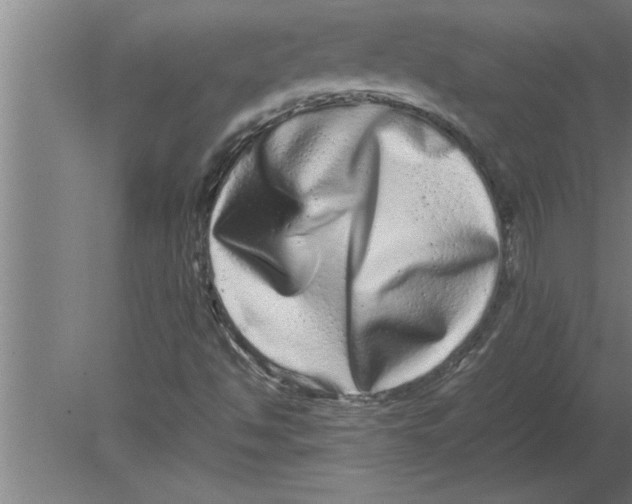 X0000080111494200612301930