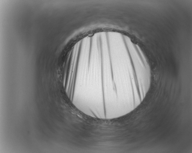 X0000080111495200612301930