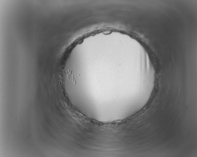 X0000080111496200612301930