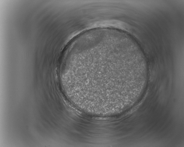 X0000080111497200612301930