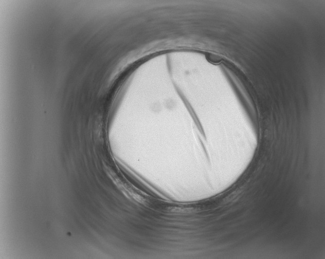 X0000080111499200612301930