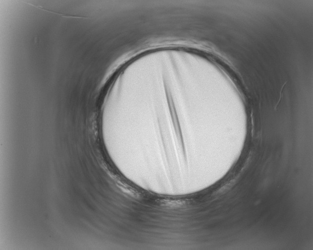 X0000080111501200612301930