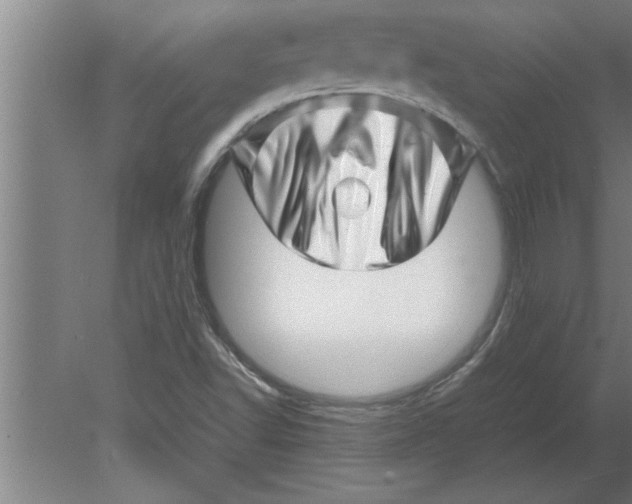 X0000080111502200612301930