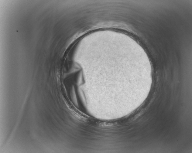 X0000080111505200612301930