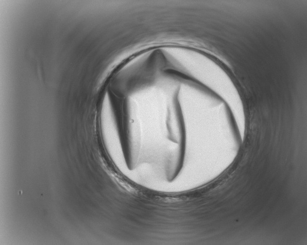 X0000080111507200612301930