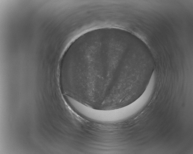 X0000080111508200612301930