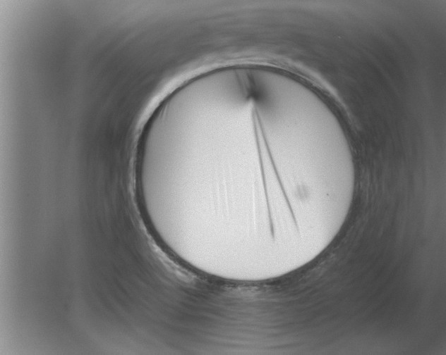 X0000080111512200612301930