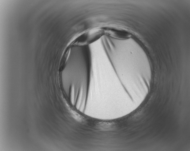 X0000080111513200612301930