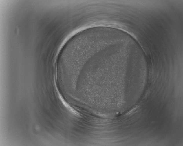 X0000080111515200612301930