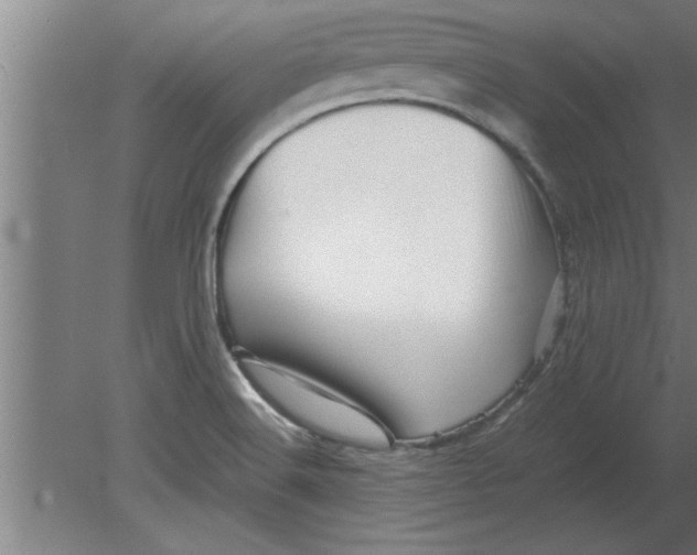 X0000080111516200612301930