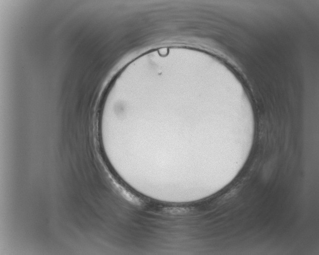 X0000080111517200612301930