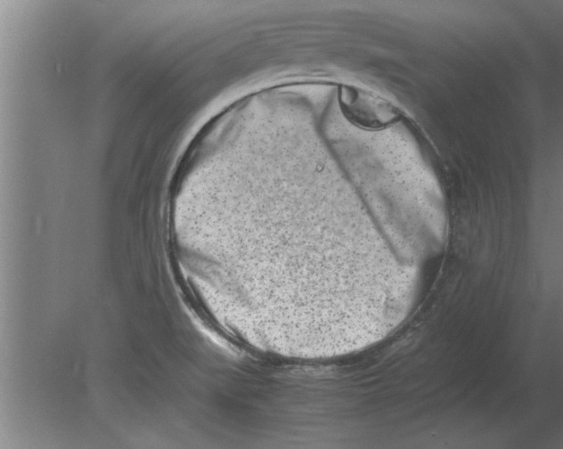 X0000080111519200612301930