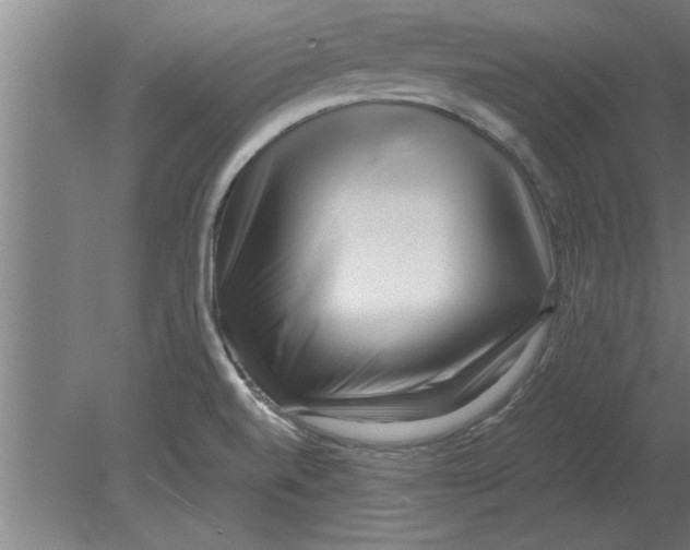 X0000080111520200612301930