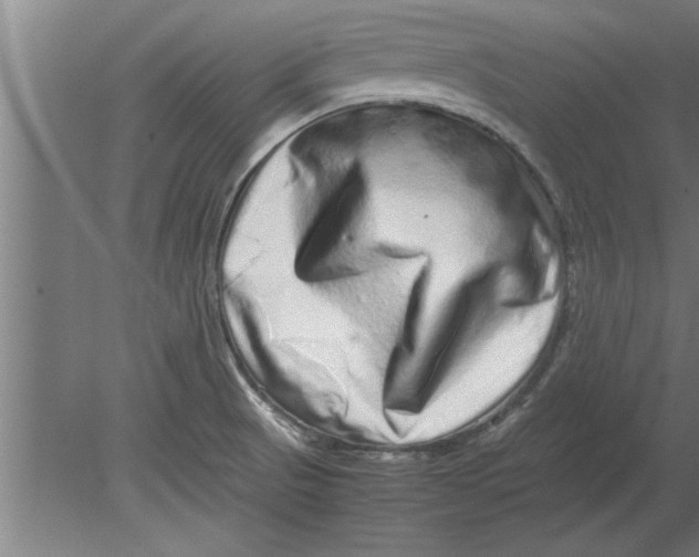 X0000080111521200612301930