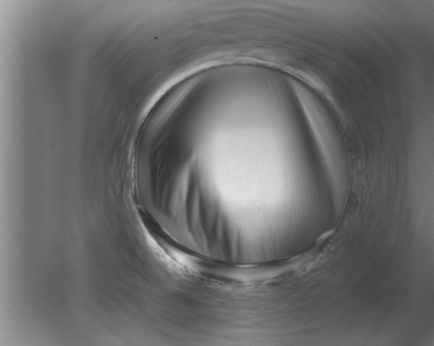 X0000080111524200612301930