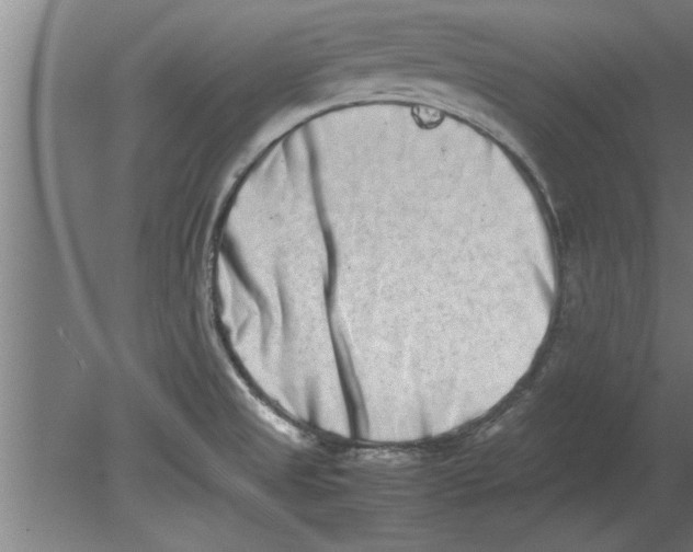 X0000080111525200612301930