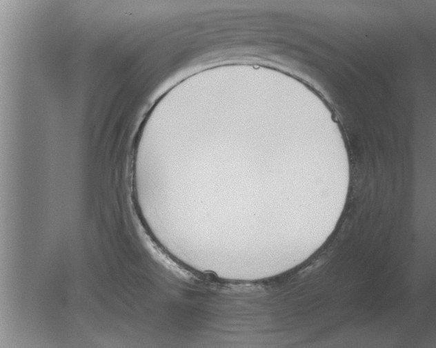 X0000080111526200612301930