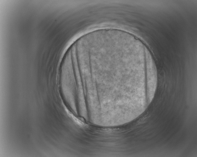 X0000080111527200612301930