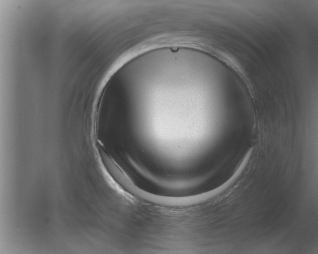 X0000080111528200612301930