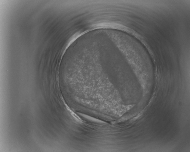 X0000080111529200612301930