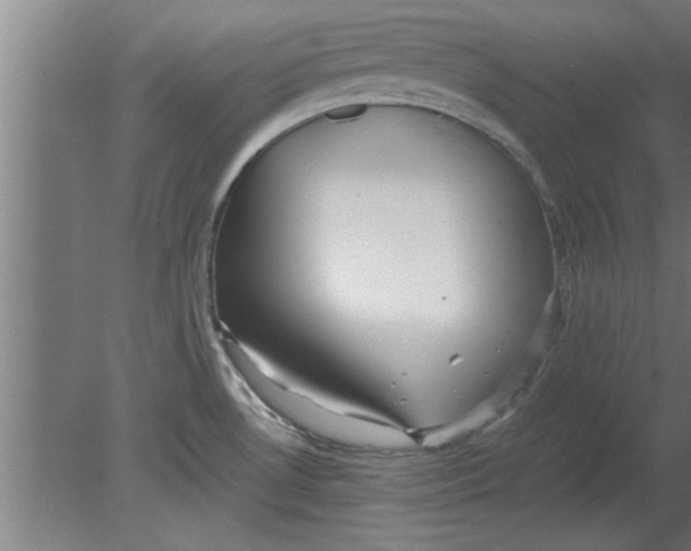 X0000080111530200612301930