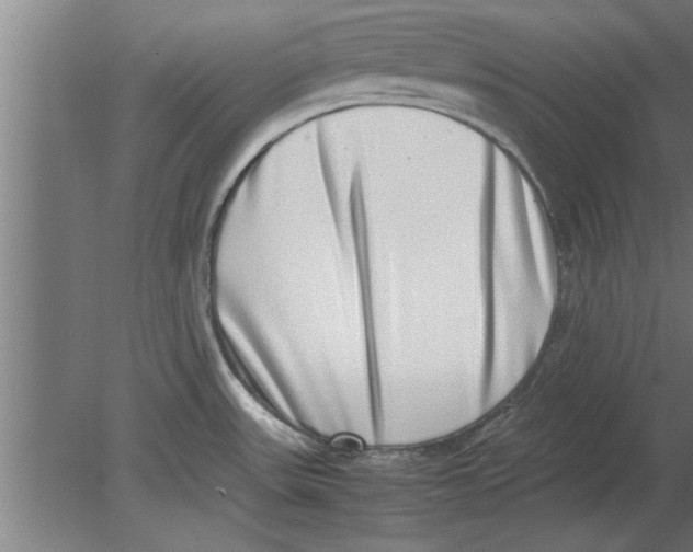 X0000080111531200612301930