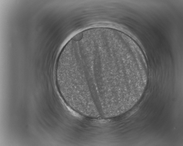 X0000080111533200612301931