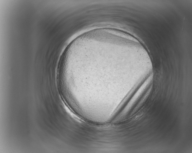 X0000080111535200612301931