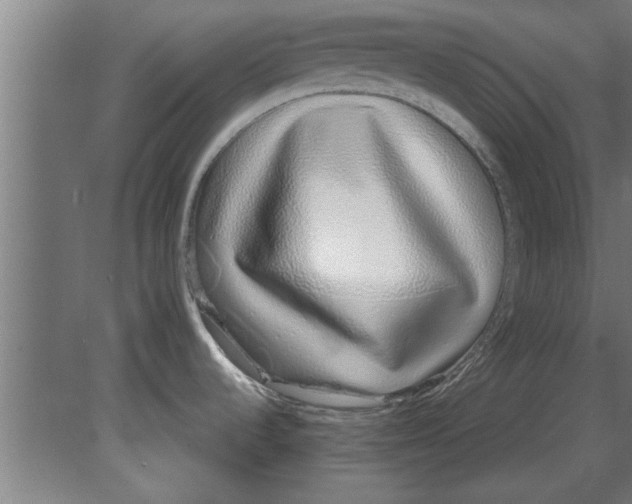 X0000080111536200612301931