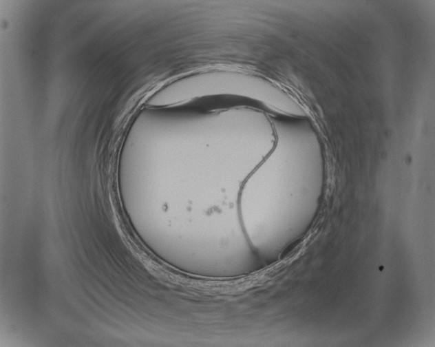 X0000080110001200701051341