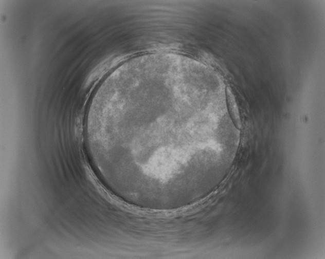 X0000080110002200701051341