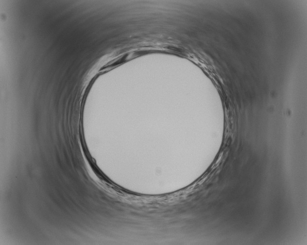 X0000080110003200701051341