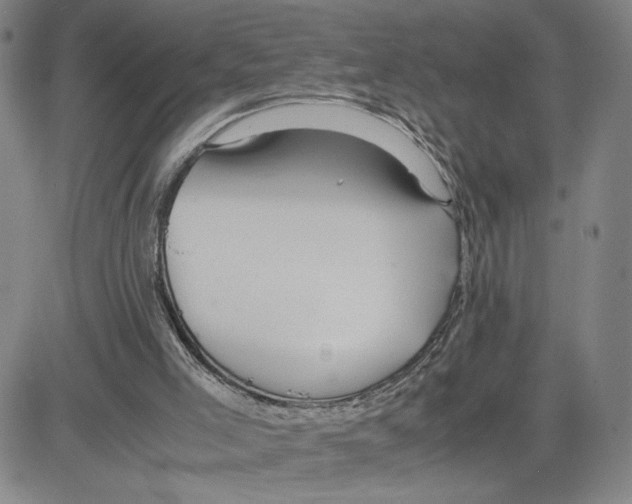 X0000080110005200701051341