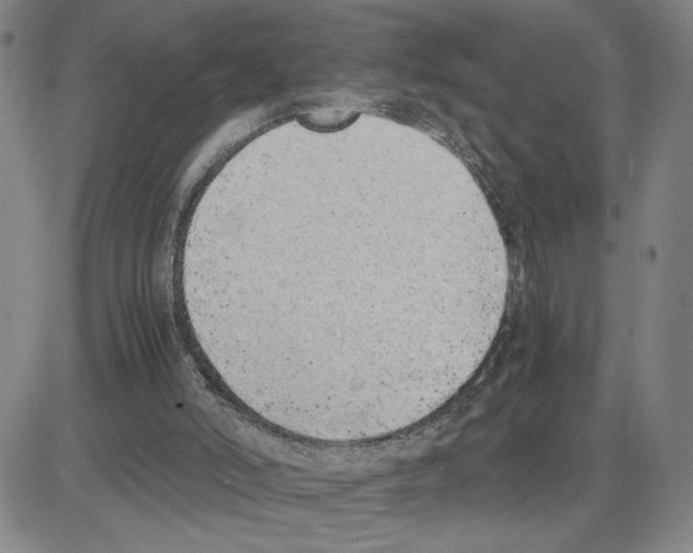 X0000080110006200701051341