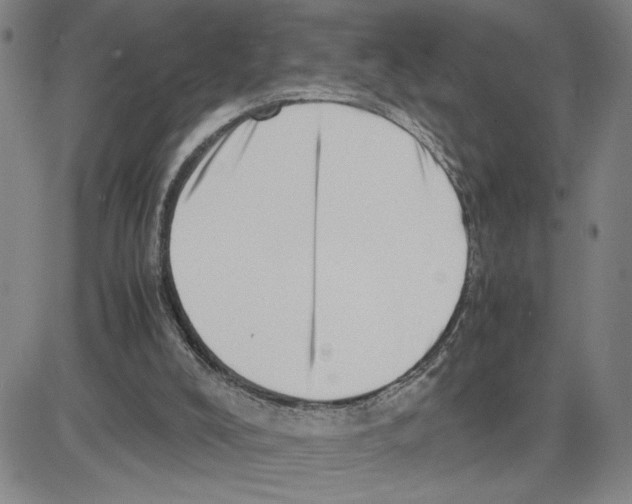 X0000080110008200701051341