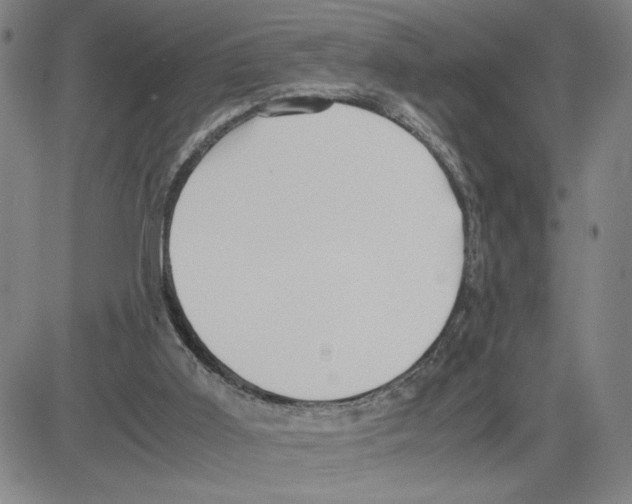 X0000080110011200701051341